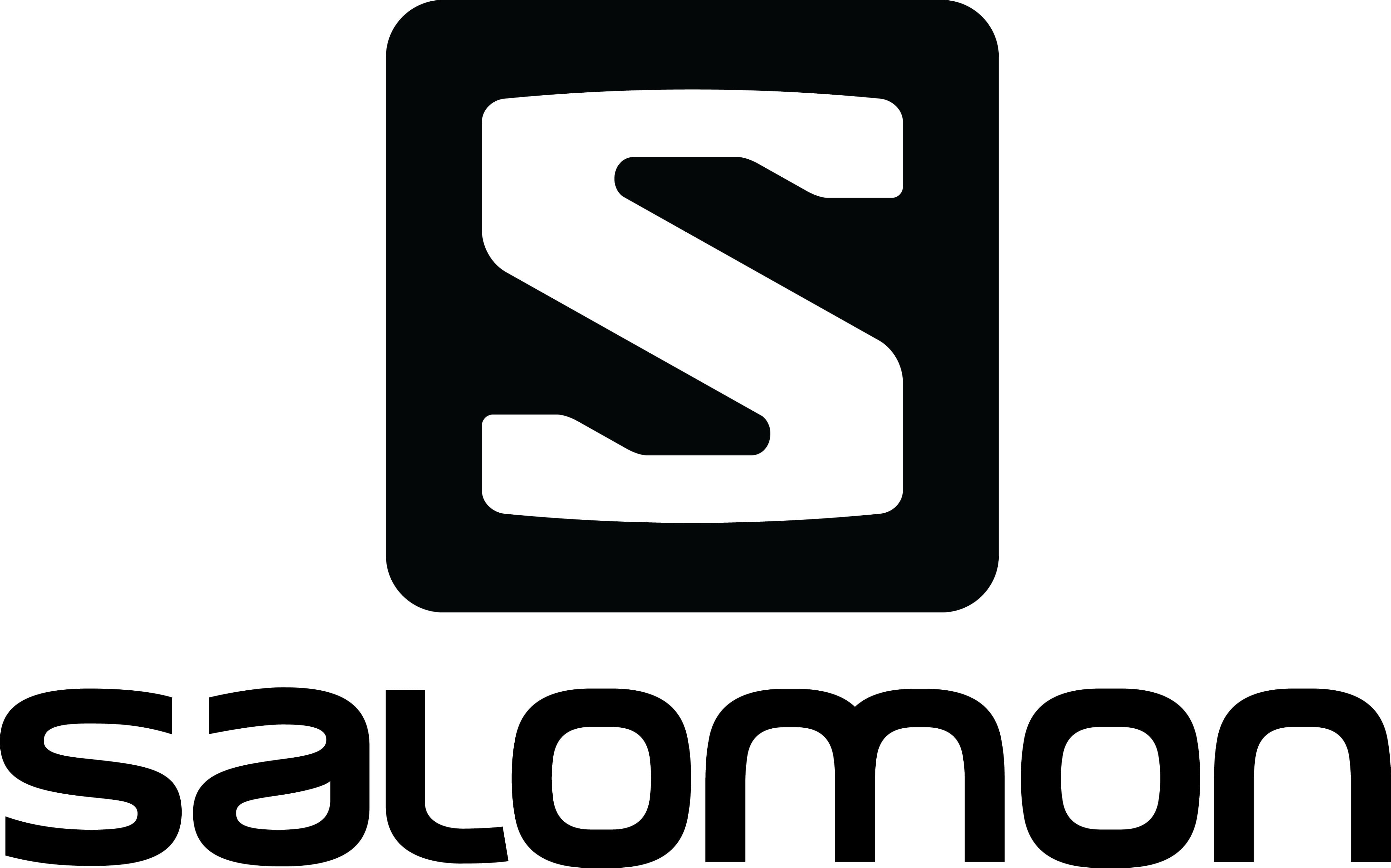 eksekverbar konsensus loop Salomon logo and symbol, meaning, history, PNG