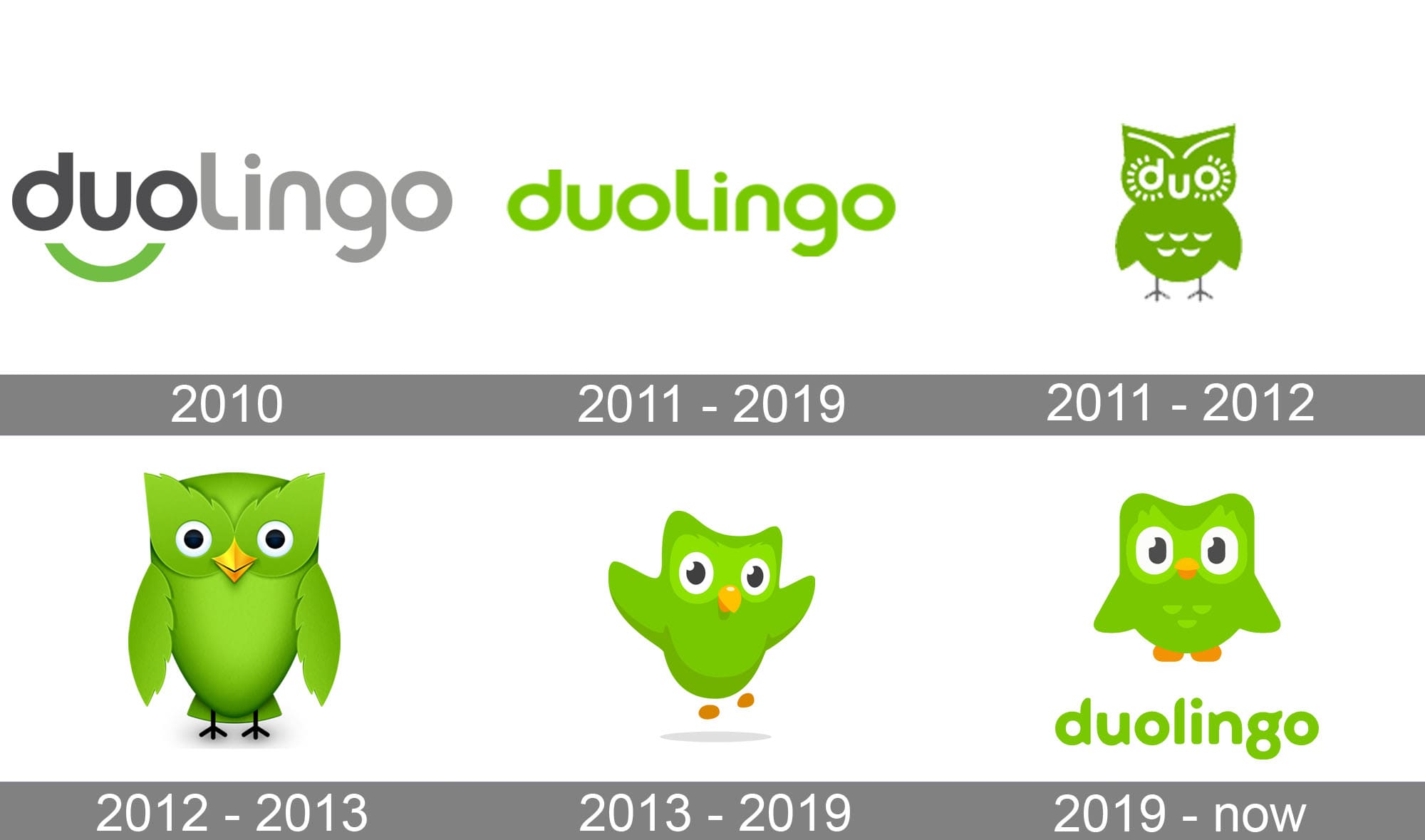 Evolution Of Duolingo
