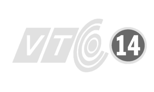 VTC14 Logo 2009
