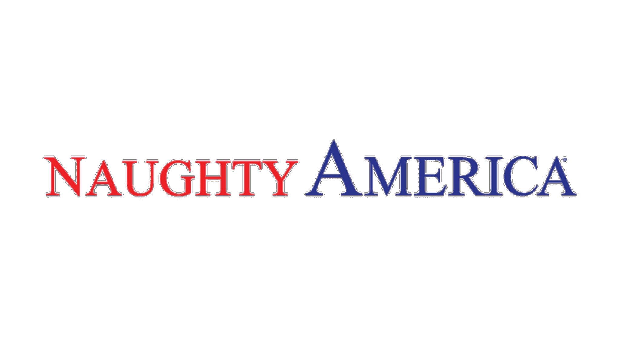 NaughtyAmerica logo.