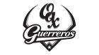 Oaxaca Guerreros Logo and symbol, meaning, history, PNG, brand