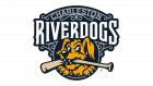 Charleston RiverDogs Logo and symbol, meaning, history, PNG, brand