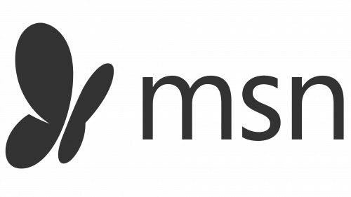 MSN logo