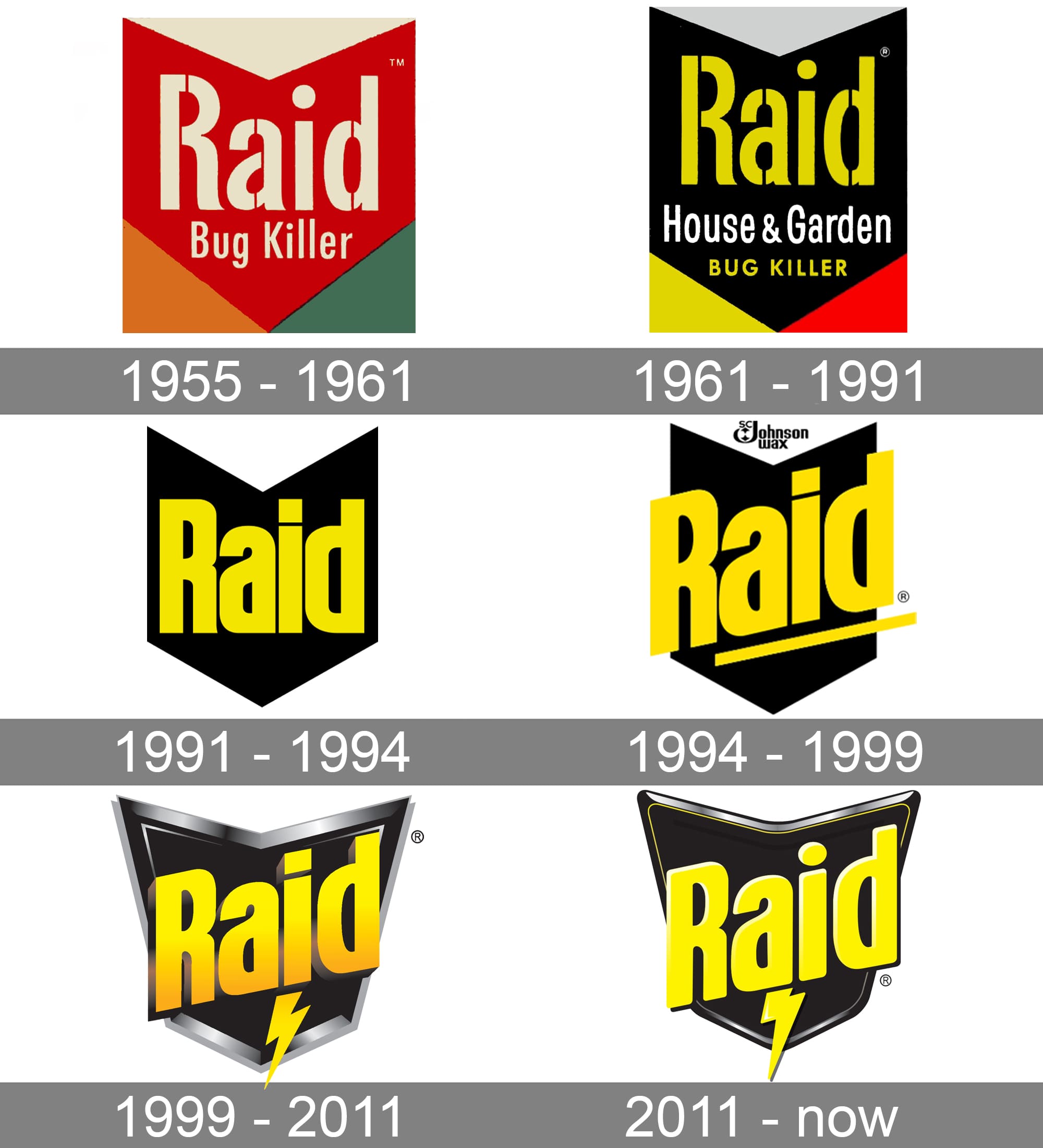 Raid - What does raid mean?