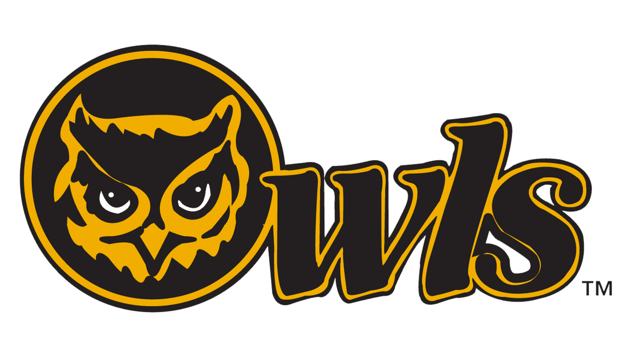 Kennesaw State Owls Logo and symbol, meaning, history, PNG, brand