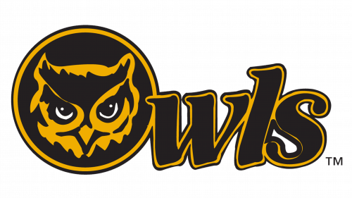 Kennesaw State Owls Logo 1992