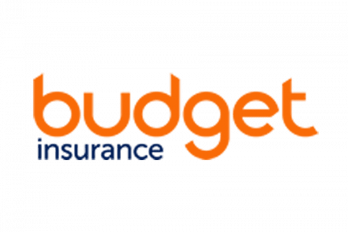 Budget Logo 2012