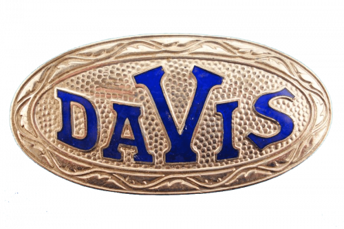 logo Davis