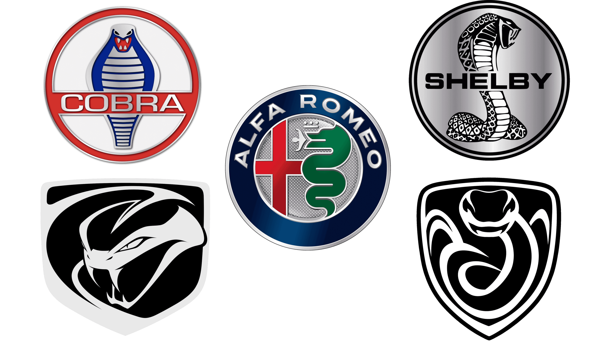 Car logos with Snake