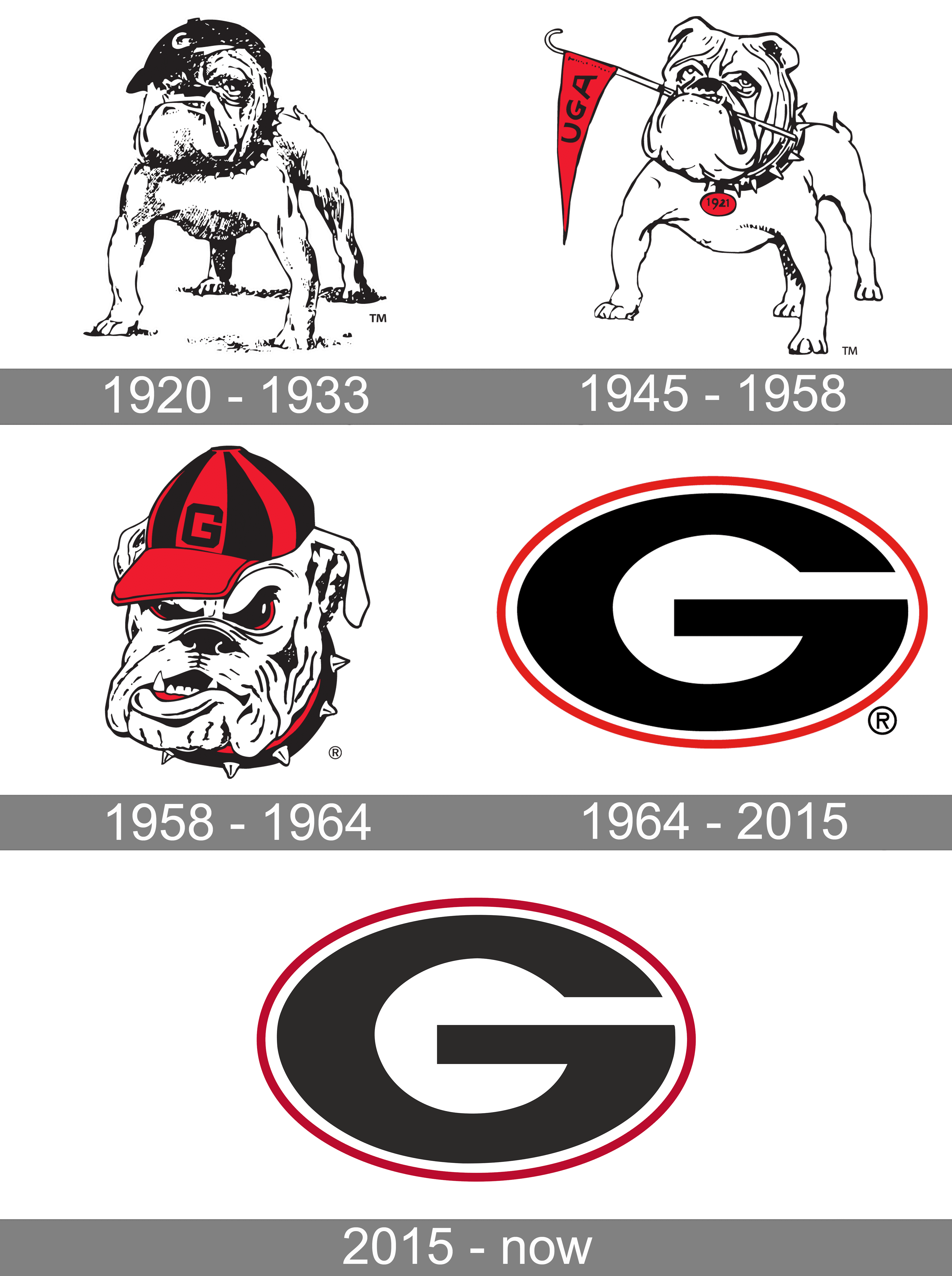 Official georgia circle logo sport teams falcons Bulldogs hawks