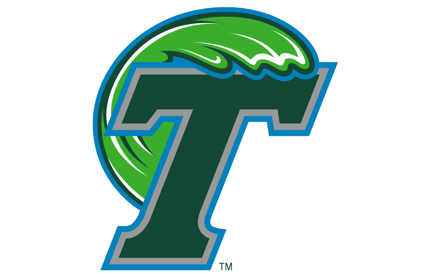 Tulane Green Wave Banner with Hanging Pole