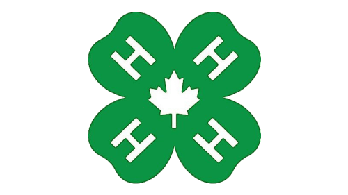 Logo 4H