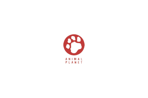 Animal Planet Logo 1994