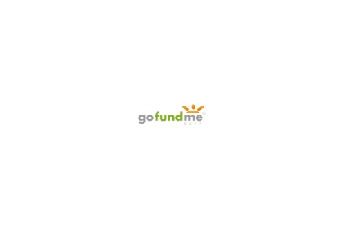 GoFundMe Logo 2010