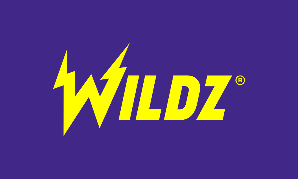 The Art and Design Behind the Wildz Logo