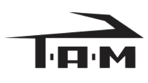 TAM Airlines Logo 1961
