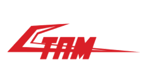 TAM Airlines Logo 1976
