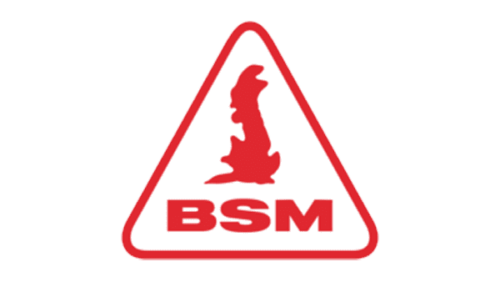 British School of Motoring Logo 1980