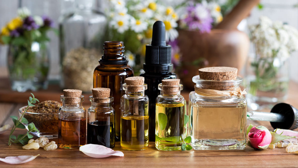 Organic Essential Oils, Everything You Need To Know - The Eco Hub