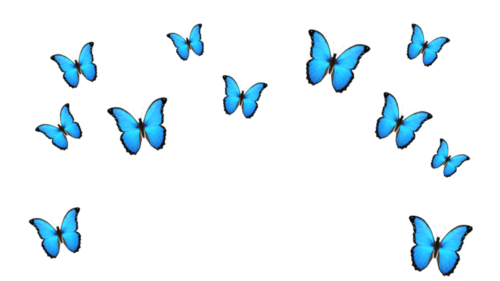 Butterfly Emojis