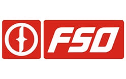 FSO Logo