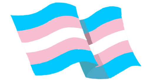 Transgender Flag Emojis